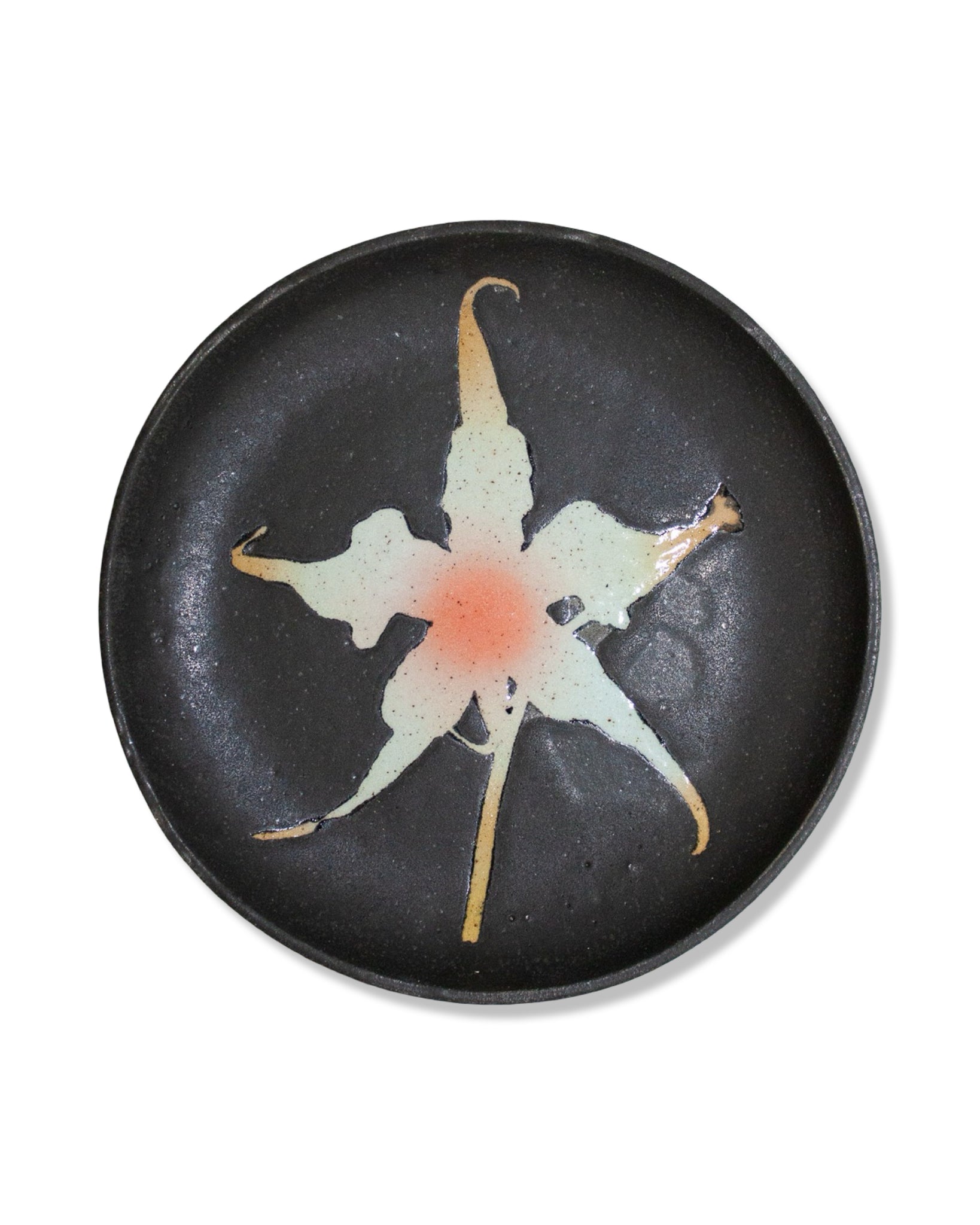 Orchid Plate in Moth