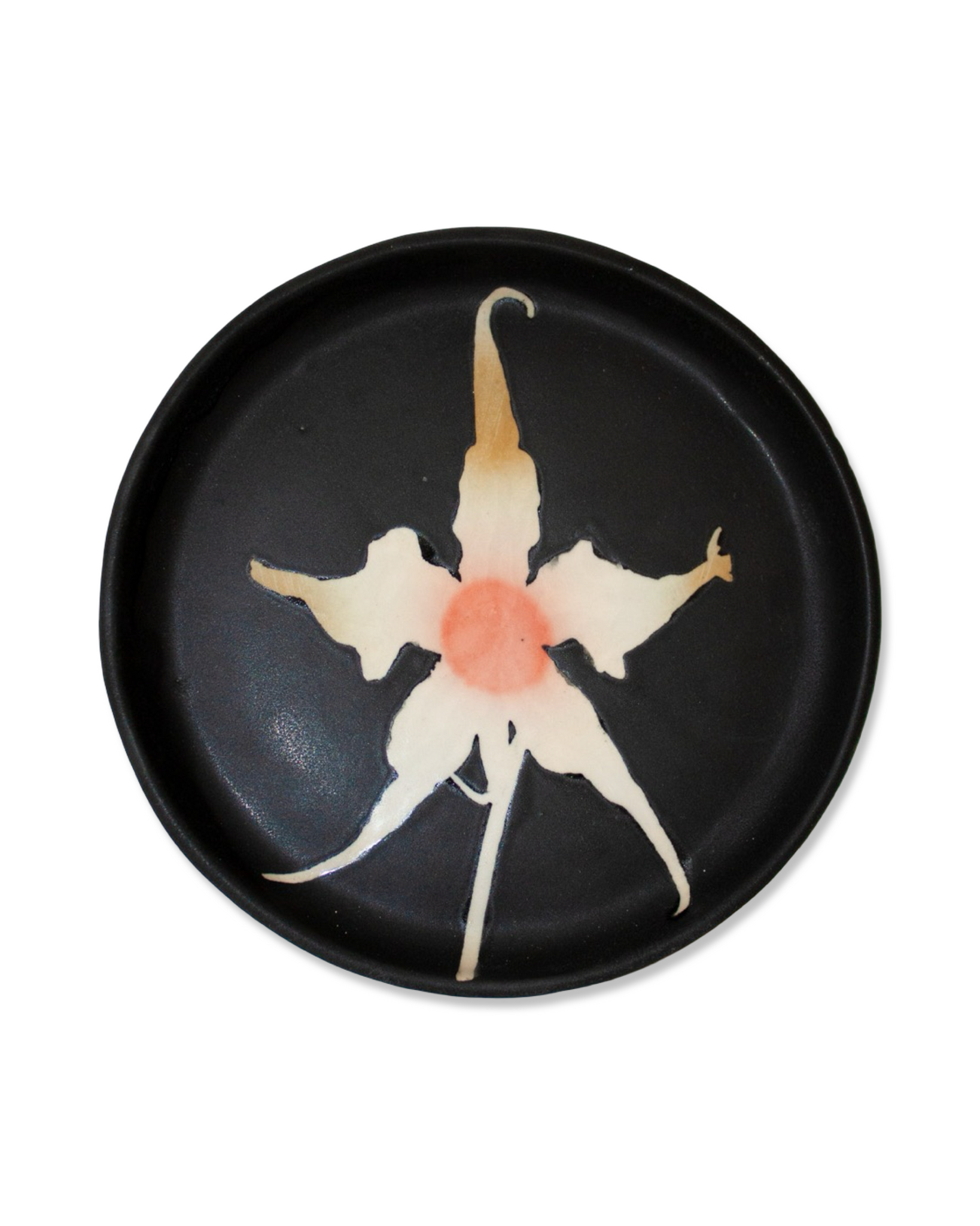 Orchid Blate in Moth